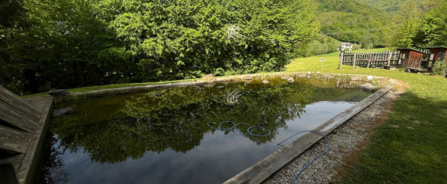 Slovenac na imanju napravio raj: Most od sibirskog bora, plivanje u bazenu sa ribama i još mnogo toga FOTO